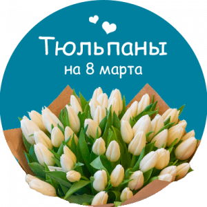 Купить тюльпаны в Сольвычегодске