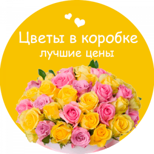 Цветы в коробке в Сольвычегодске